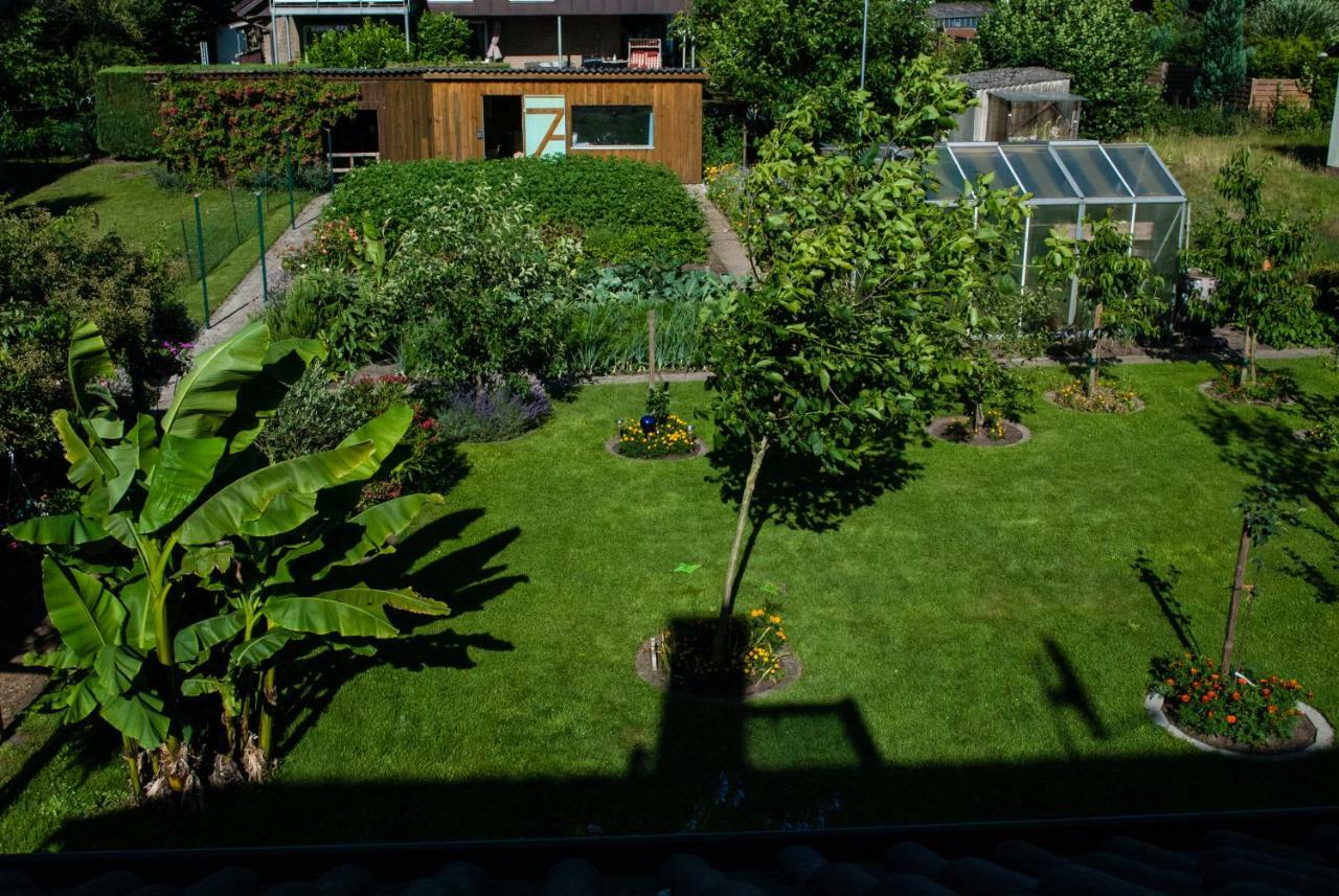 Ferienwohnung Wolf Greven Dış mekan fotoğraf